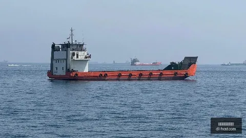 张瑷晖21岁首秀在即国足名单：程进、陶强龙、张瑷晖三大新星